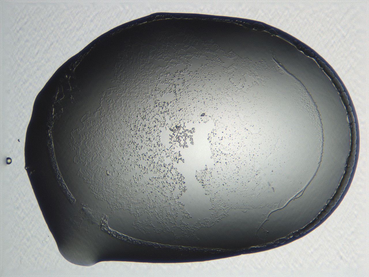 04np_D10_ImagerDefaults_3.jpg