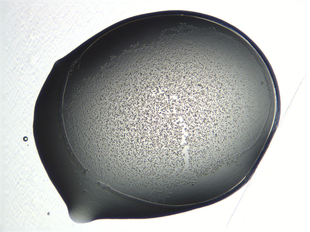 04np_D11_ImagerDefaults_3.jpg