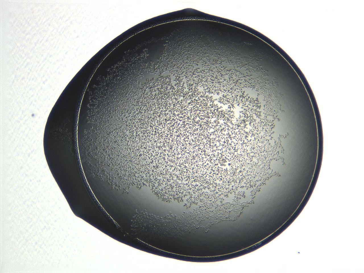 04np_D12_ImagerDefaults_3.jpg
