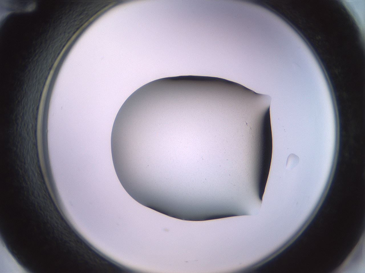 folderID673_plateID3673_batchID21904_wellNum60_profileID1_d2_r324776_ef.jpg