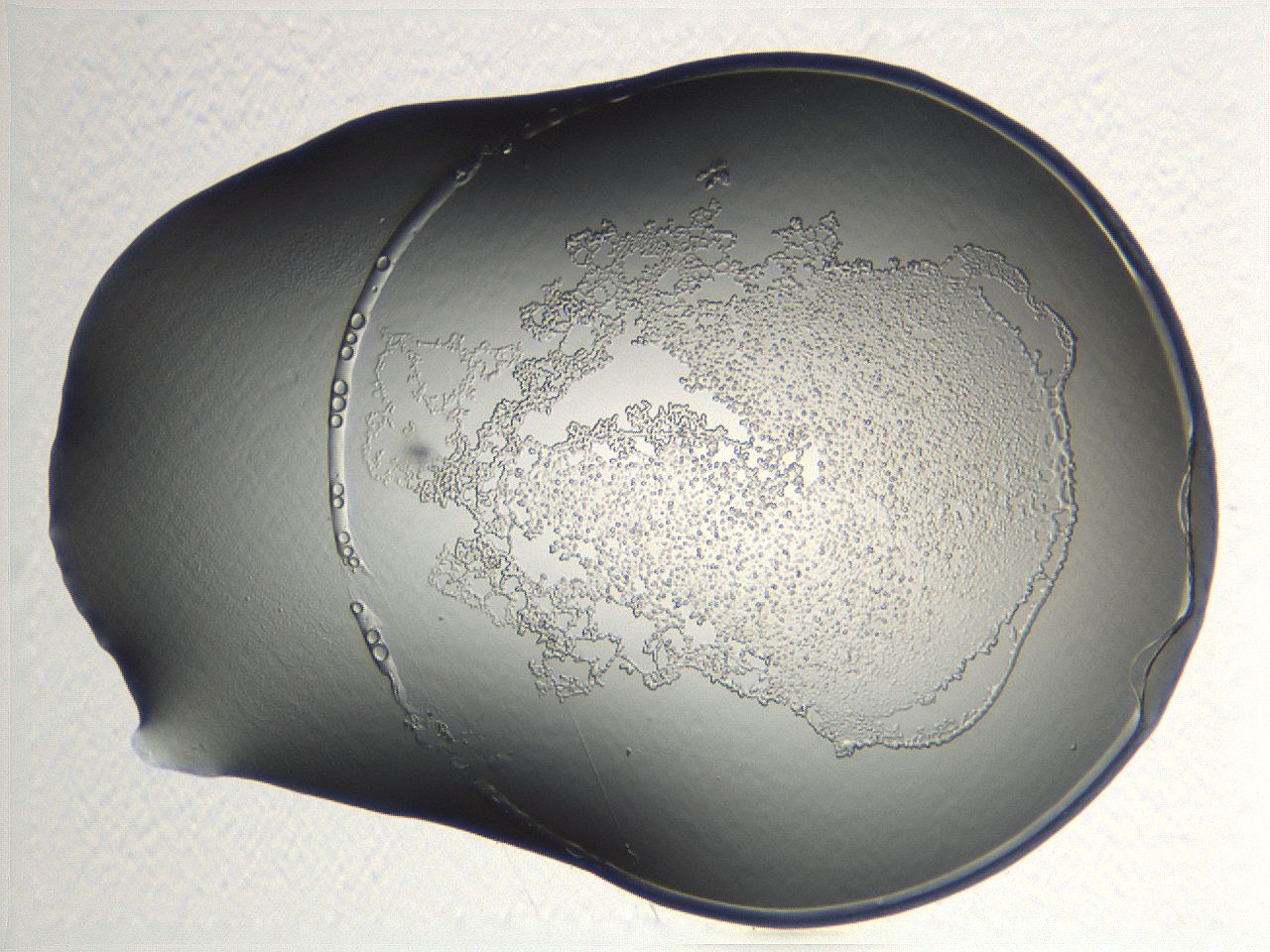 04np_A8_ImagerDefaults_3.jpg