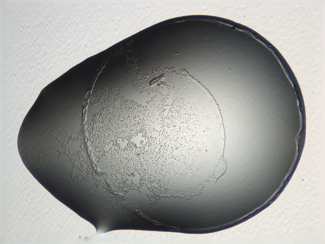 04np_A9_ImagerDefaults_3.jpg