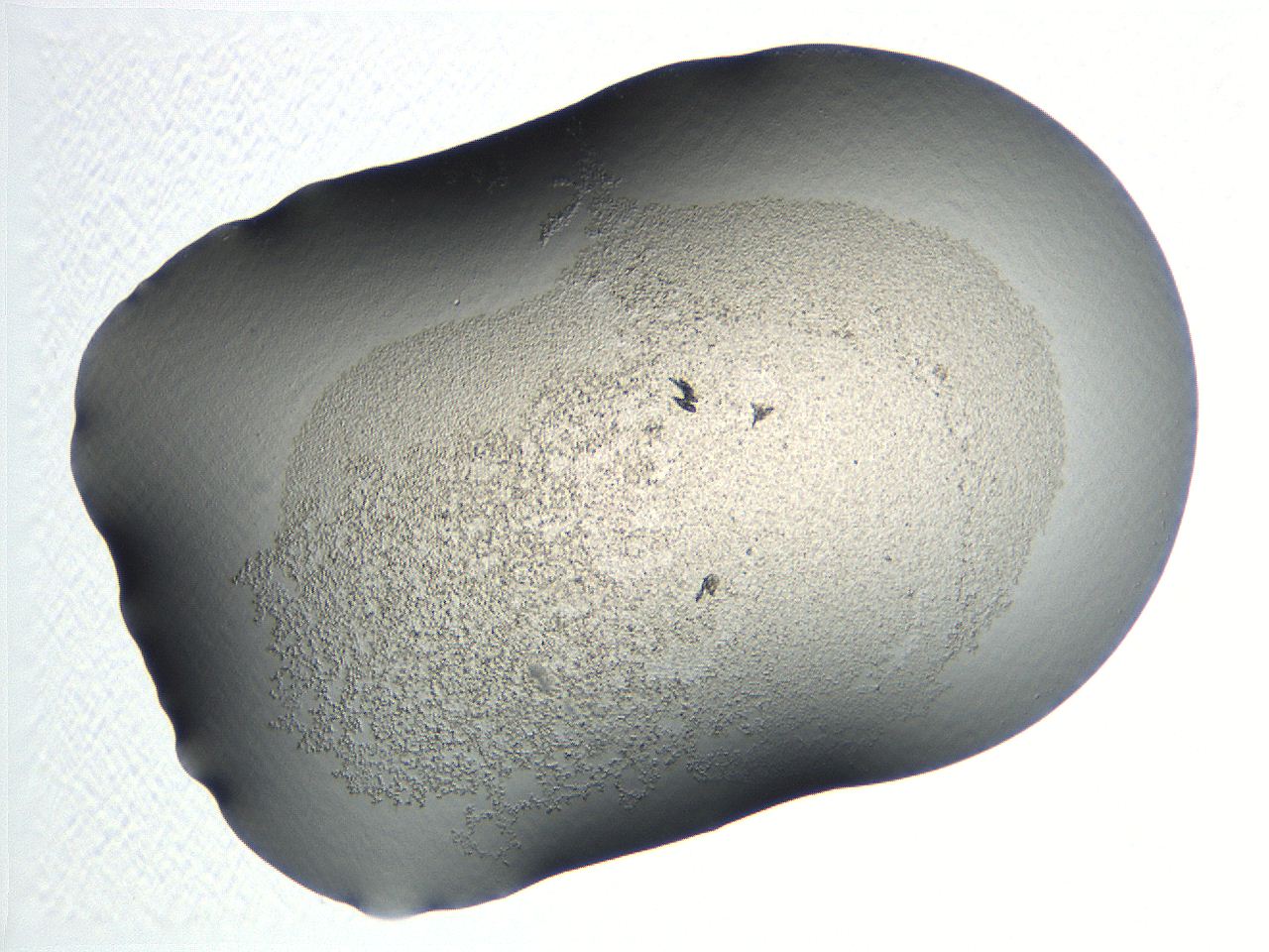 04np_B12_ImagerDefaults_3.jpg