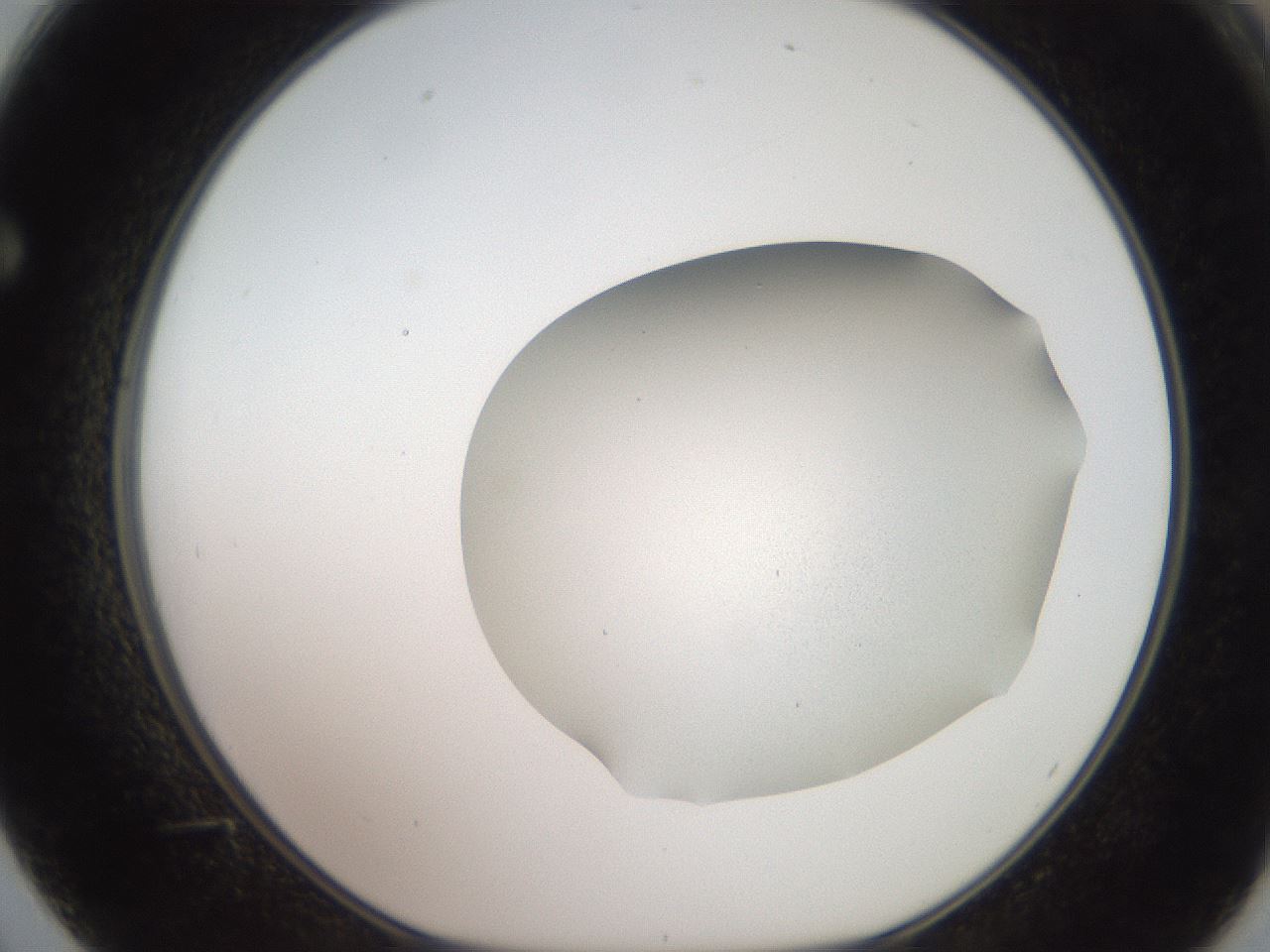 folderID680_plateID3680_batchID21972_wellNum62_profileID1_d1_r326123_ef.jpg