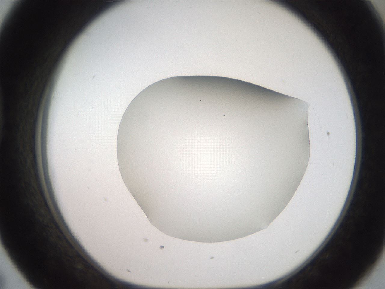 folderID680_plateID3680_batchID22062_wellNum43_profileID1_d1_r326085_ef.jpg