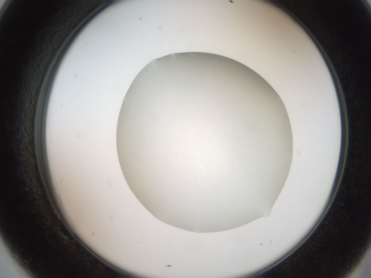 folderID680_plateID3680_batchID22062_wellNum69_profileID1_d2_r326138_ef.jpg