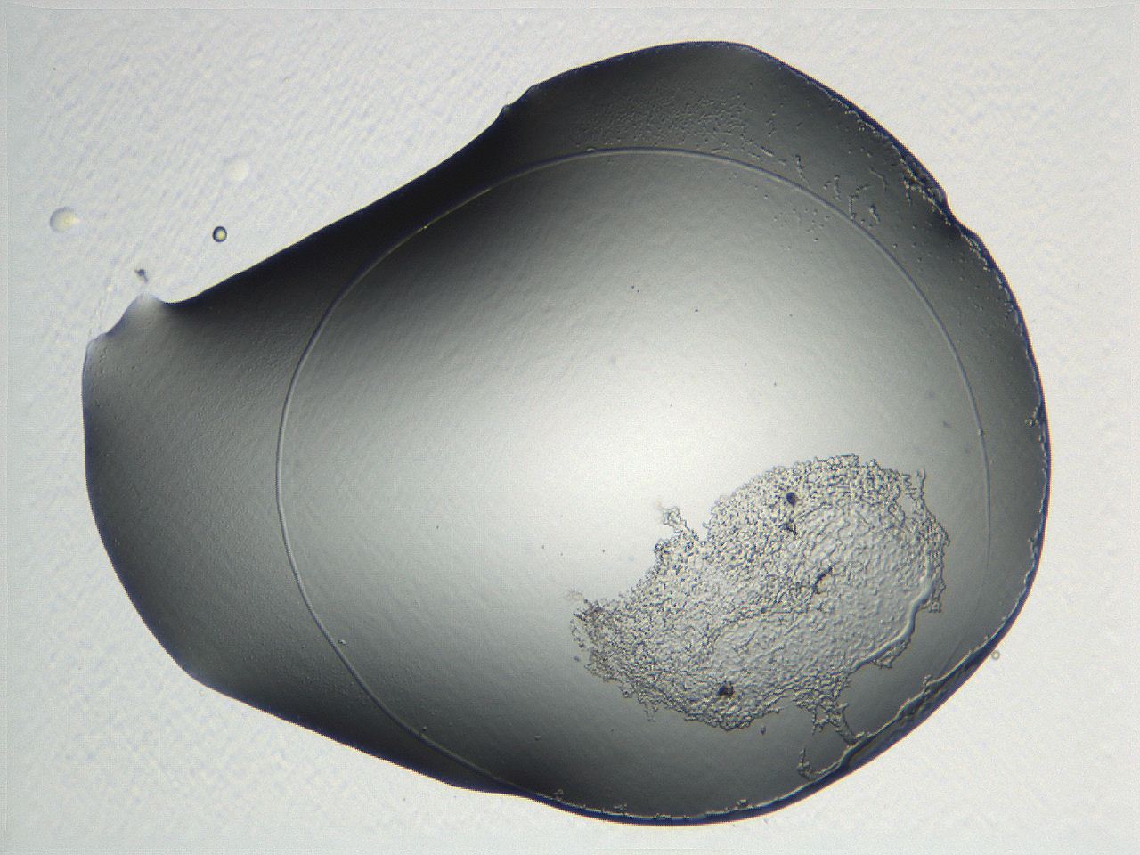 04np_B5_ImagerDefaults_3.jpg