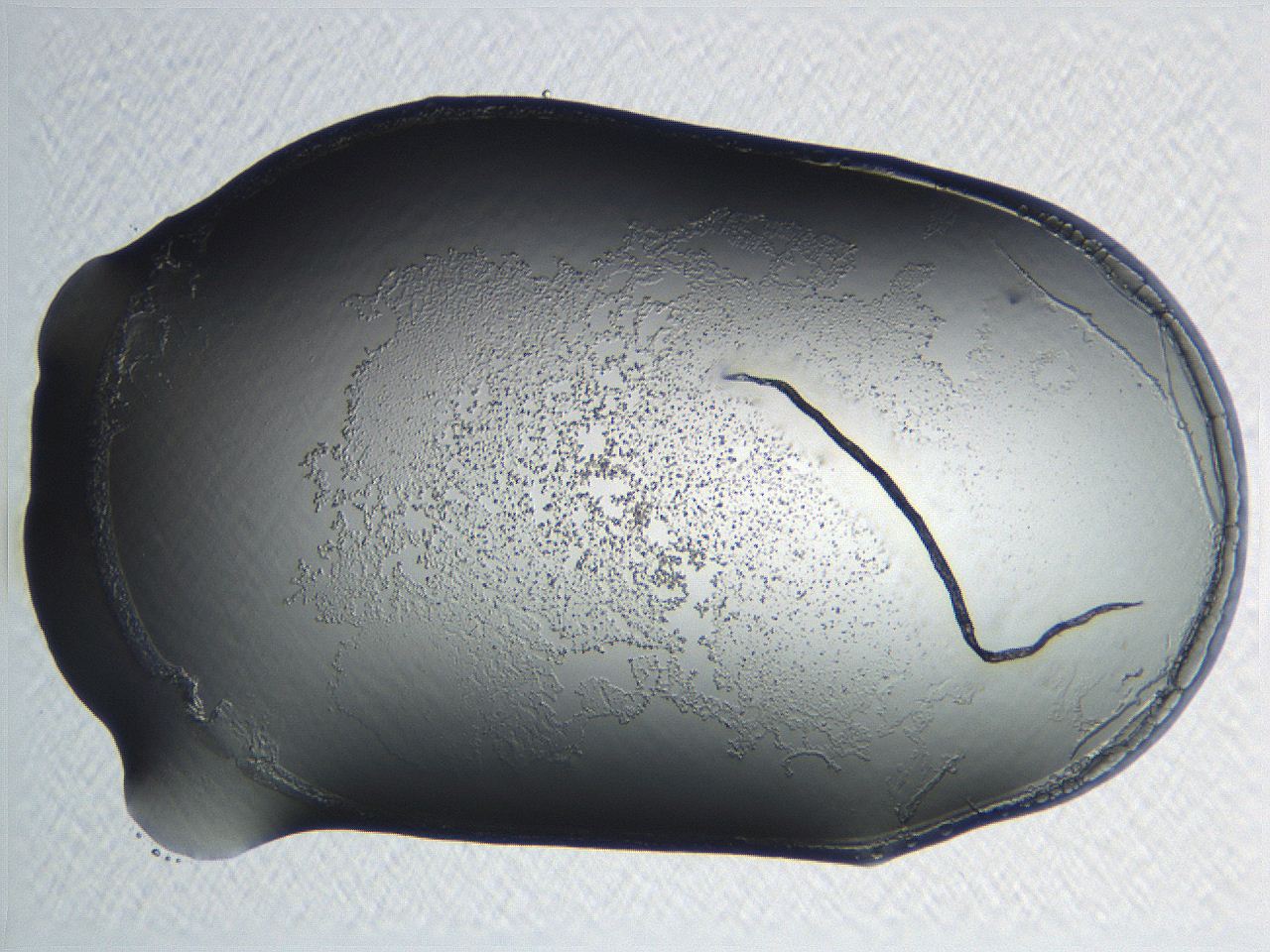 04np_E10_ImagerDefaults_3.jpg