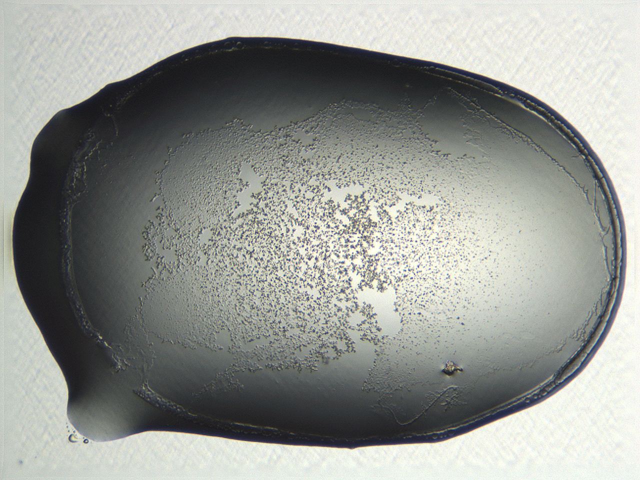 04np_E11_ImagerDefaults_3.jpg
