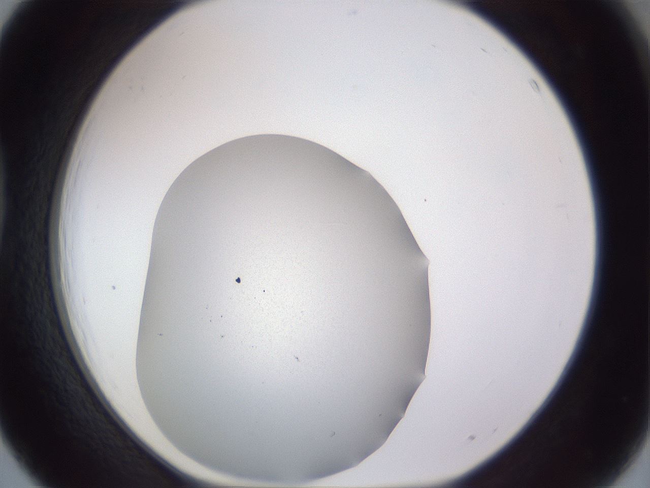 folderID681_plateID3681_batchID21920_wellNum39_profileID1_d1_r326269_ef.jpg