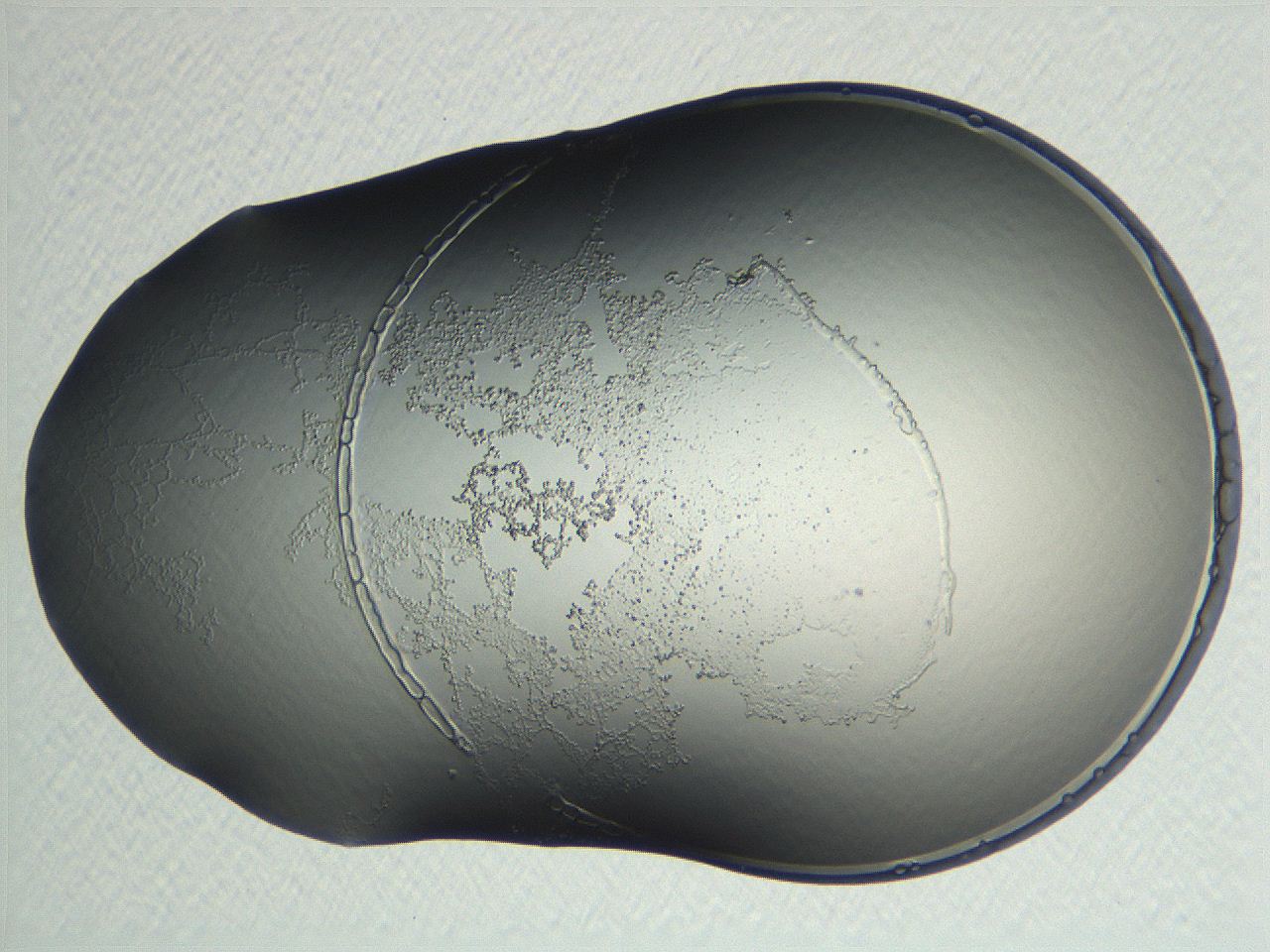 04np_F8_ImagerDefaults_3.jpg