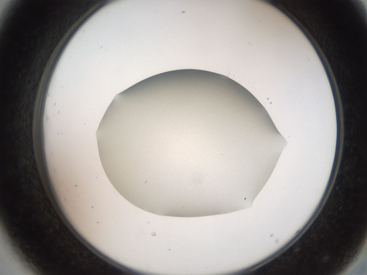 folderID682_plateID3682_batchID22175_wellNum44_profileID1_d2_r325512_ef.jpg
