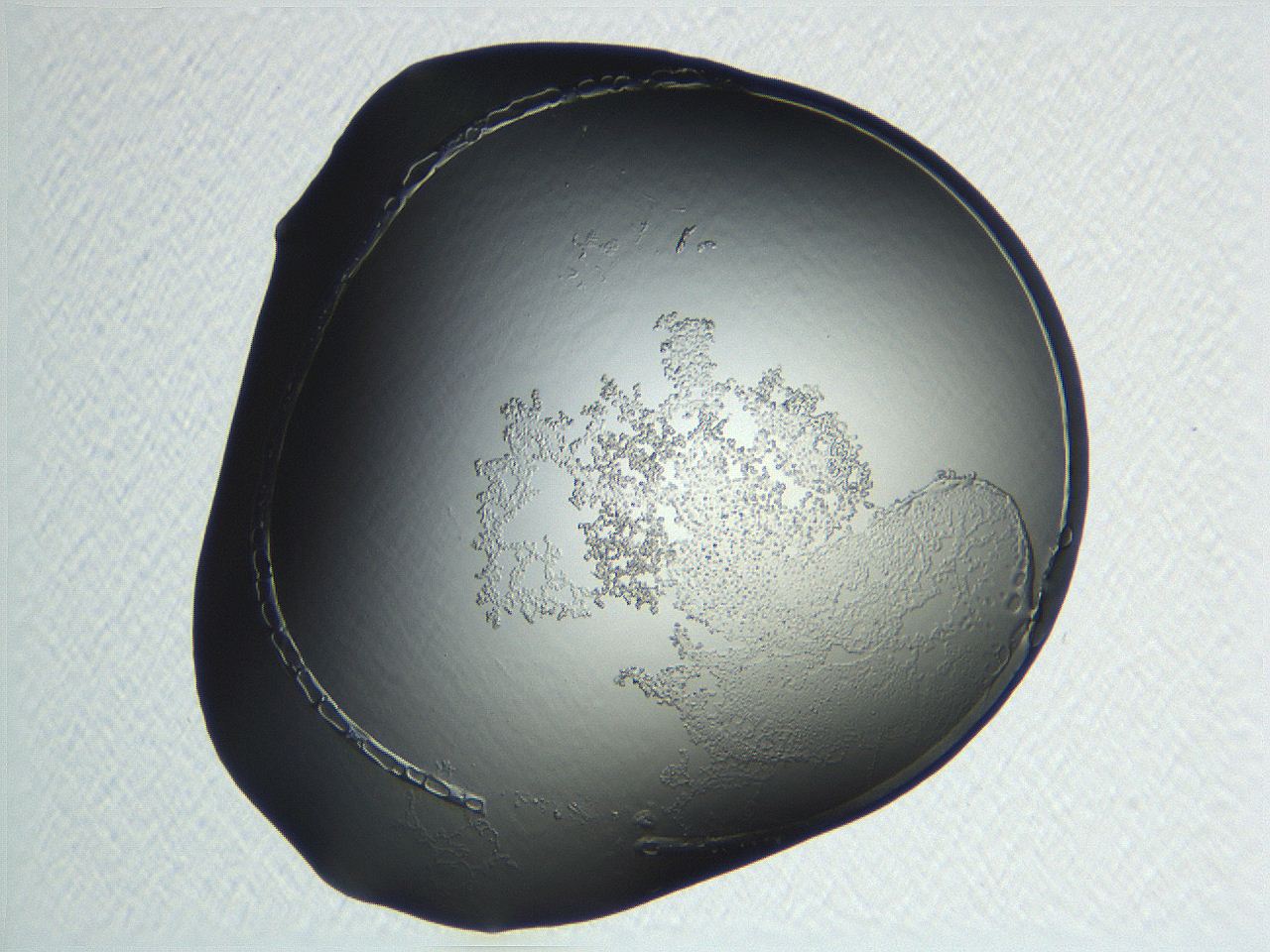 04np_F10_ImagerDefaults_3.jpg
