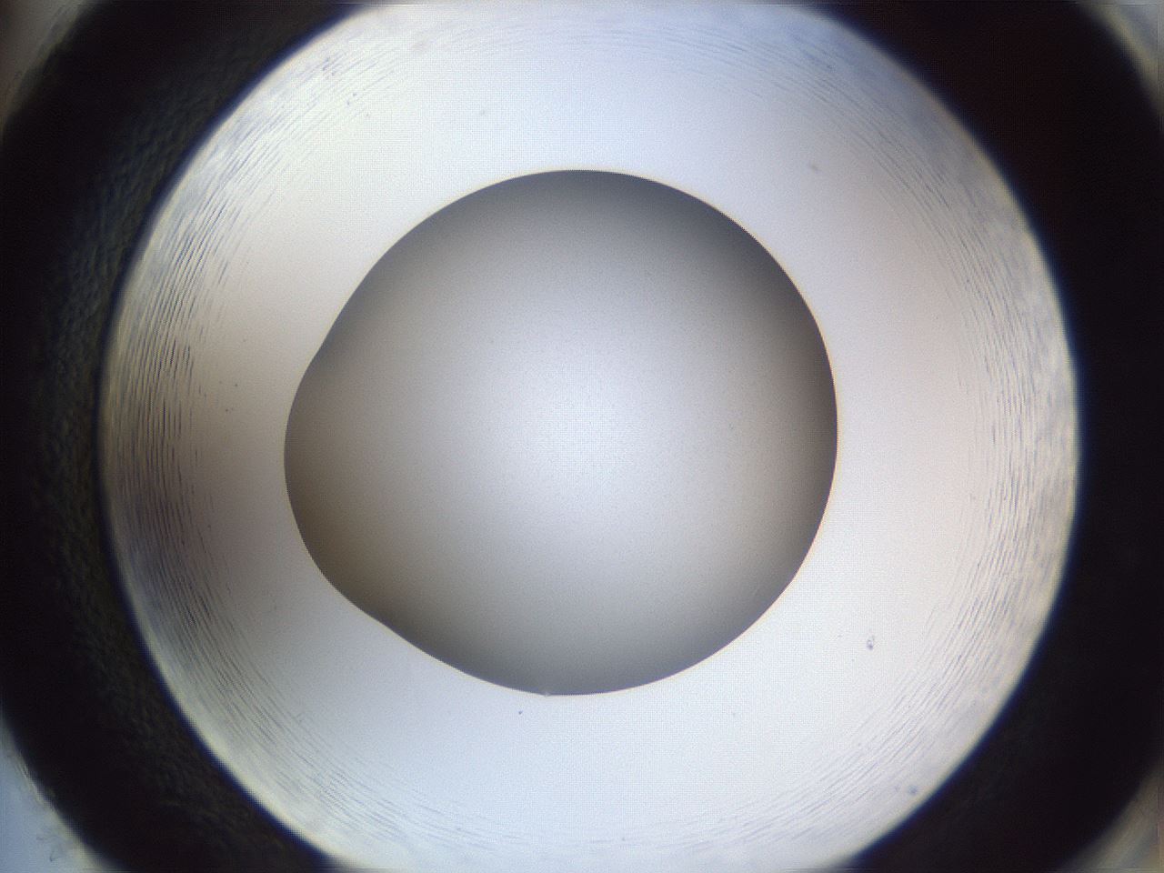 folderID683_plateID3683_batchID22176_wellNum86_profileID1_d2_r325788_ef.jpg