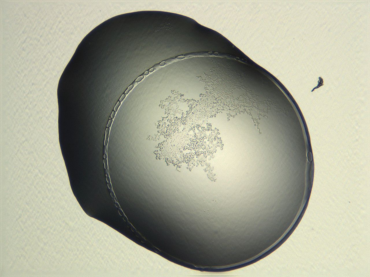 04np_G10_ImagerDefaults_3.jpg