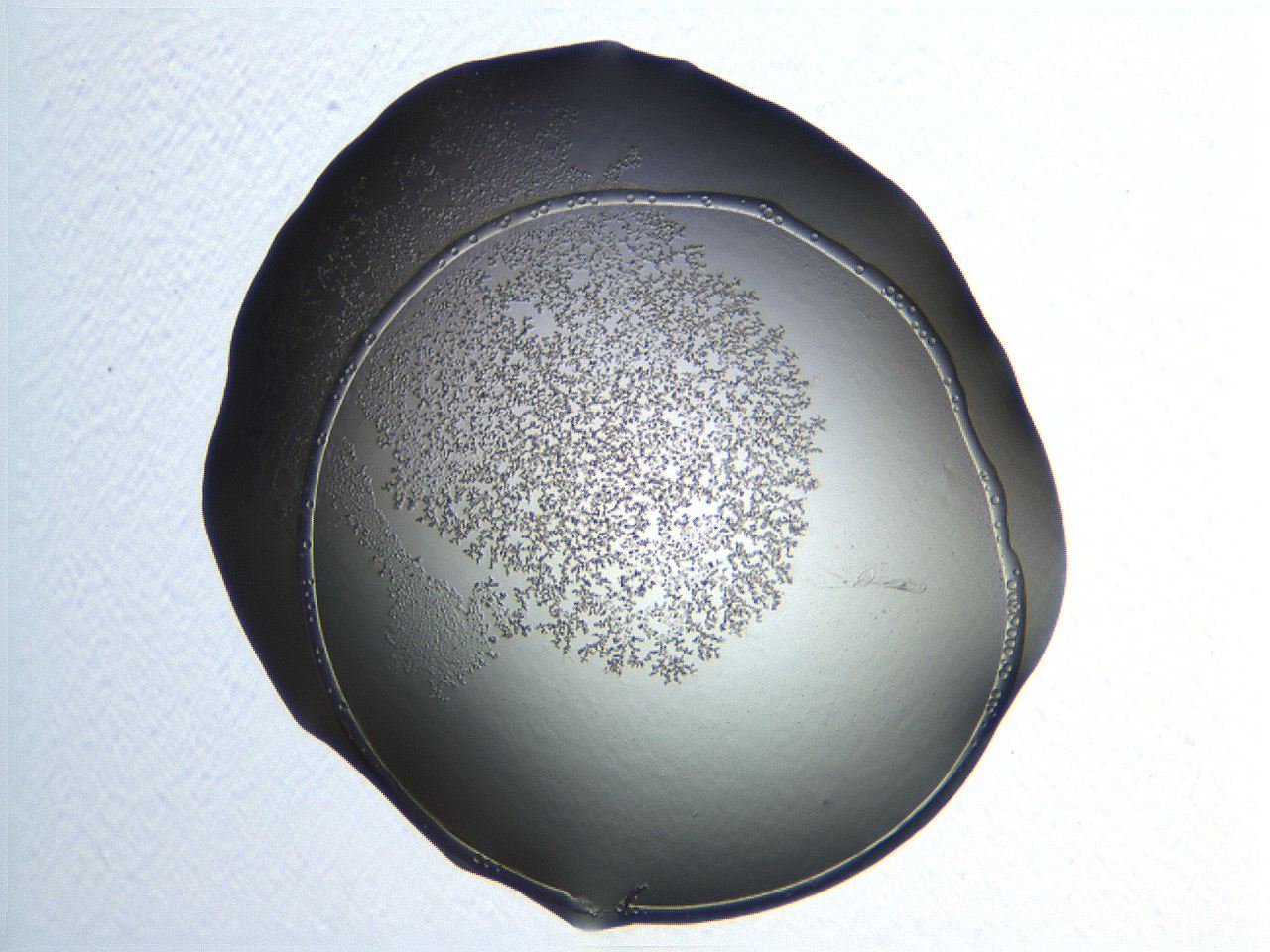 04np_G11_ImagerDefaults_3.jpg