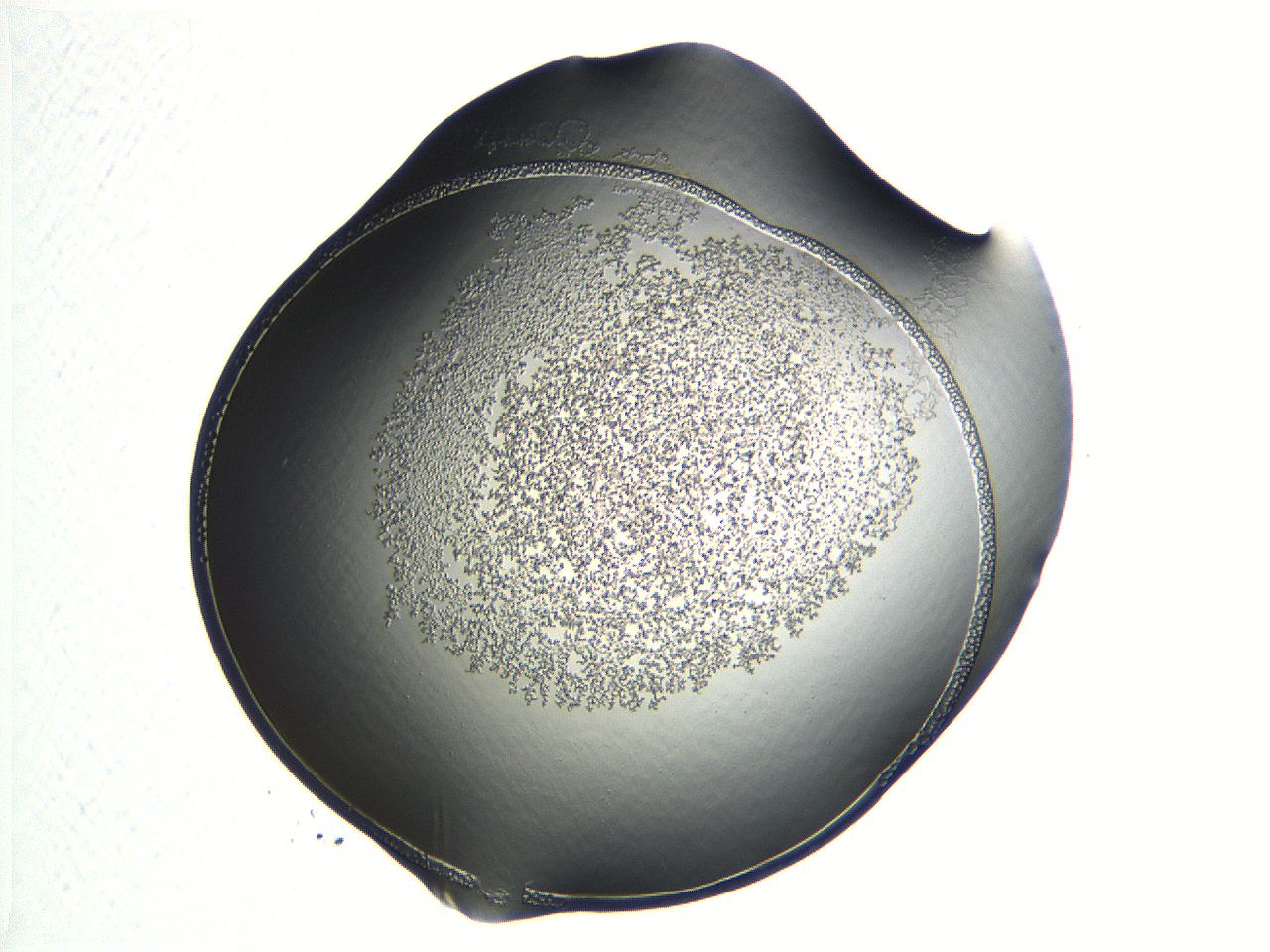 04np_G12_ImagerDefaults_3.jpg