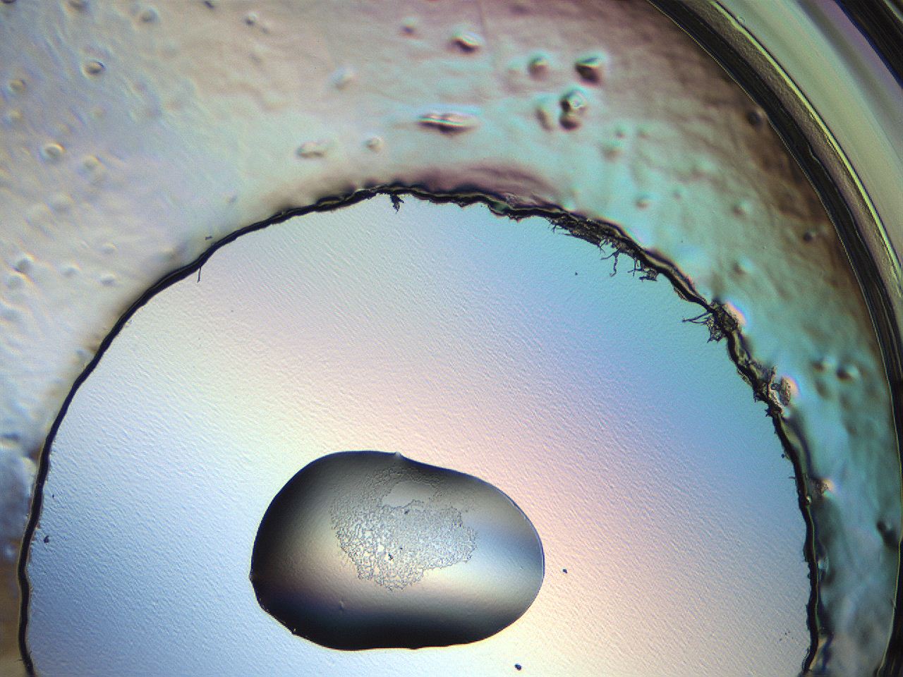 04np_H1_ImagerDefaults_3.jpg