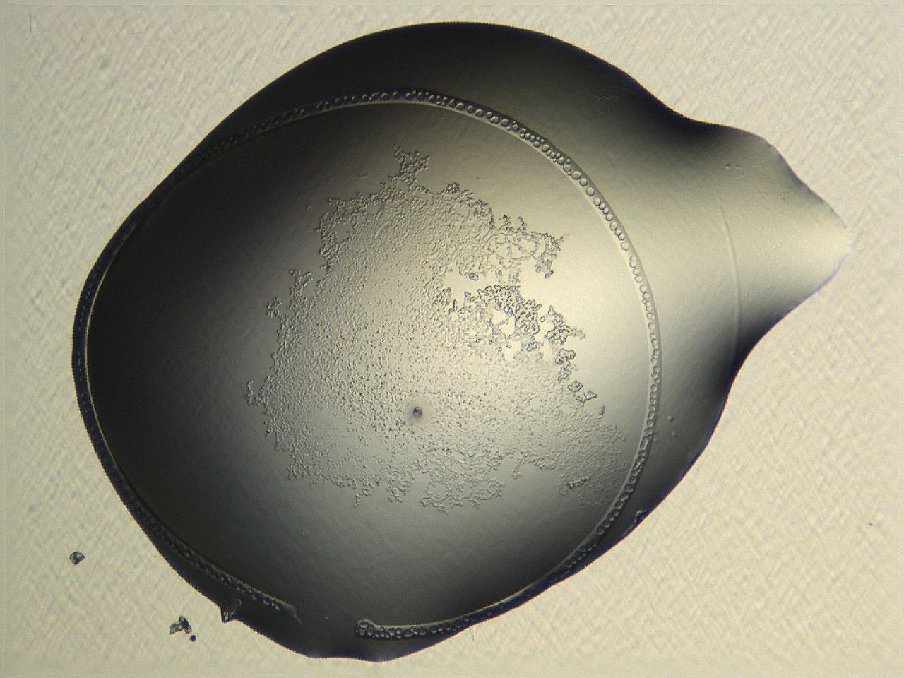 04np_H10_ImagerDefaults_3.jpg