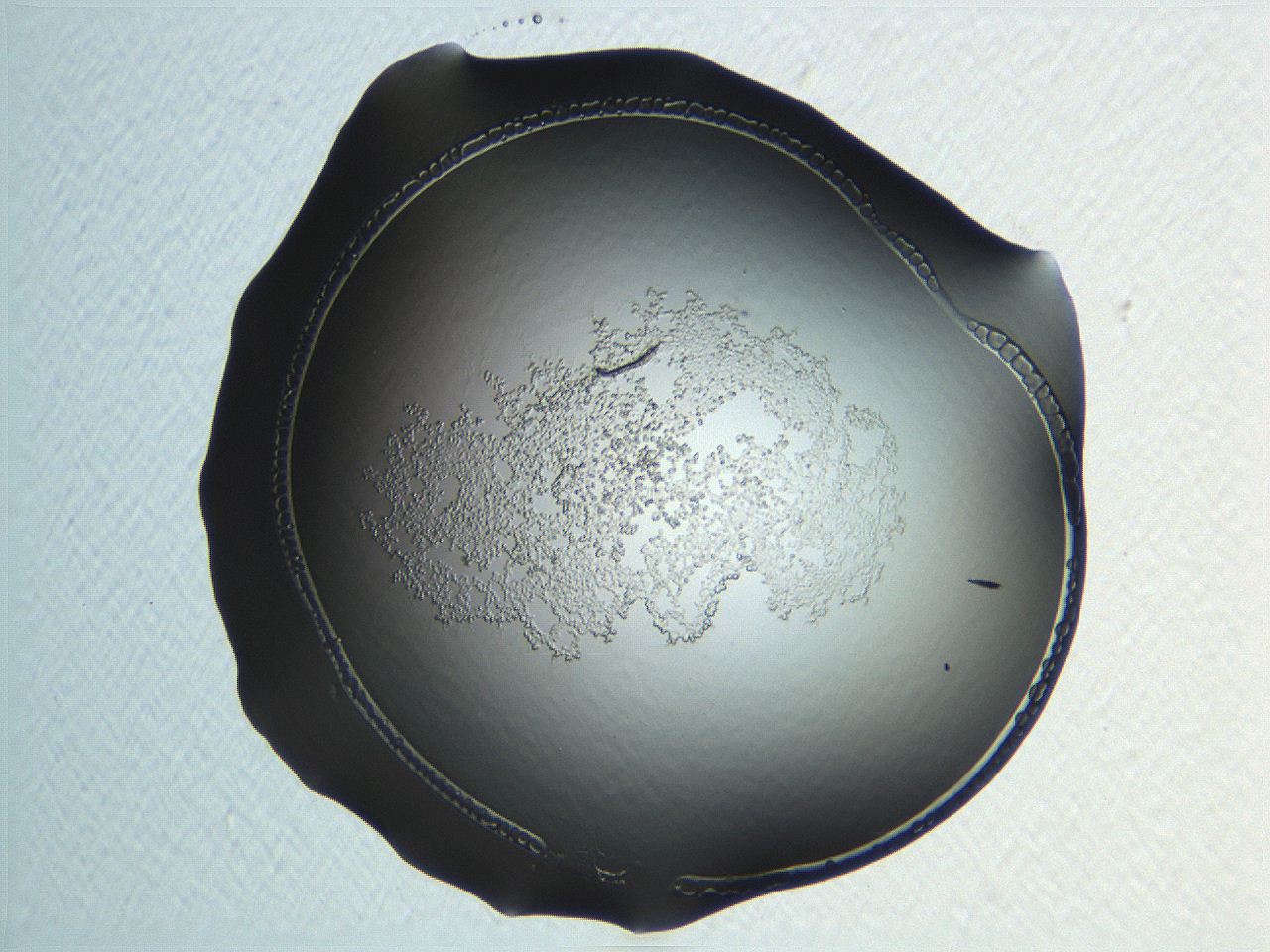04np_H11_ImagerDefaults_3.jpg