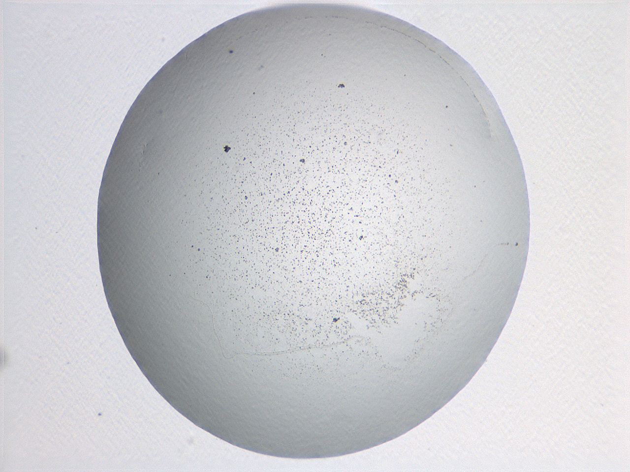 04nq_B1_ImagerDefaults_3.jpg
