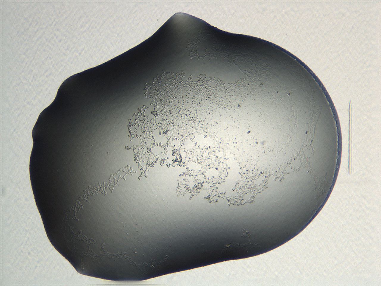 04nq_B6_ImagerDefaults_3.jpg