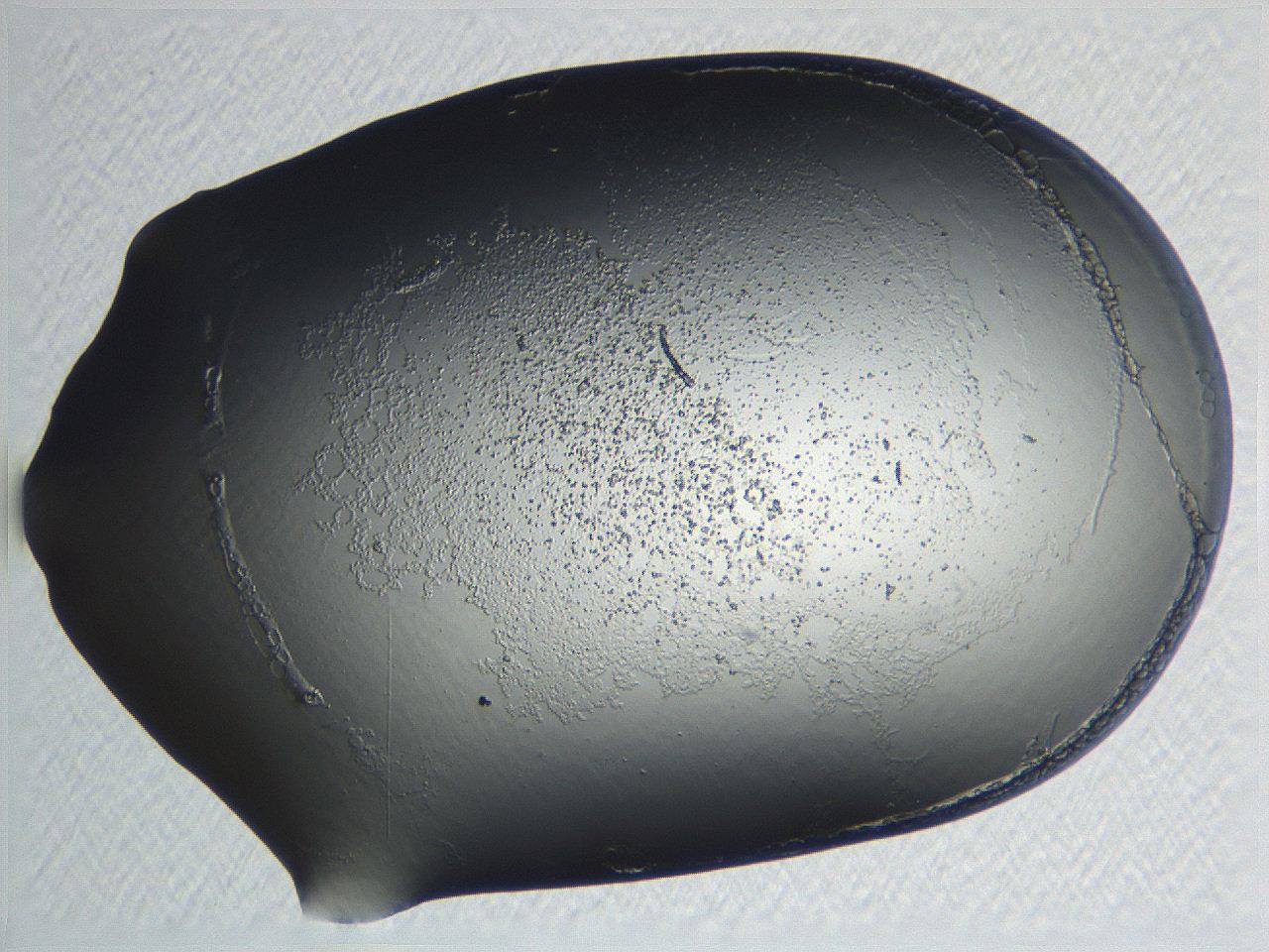 04nq_B10_ImagerDefaults_3.jpg