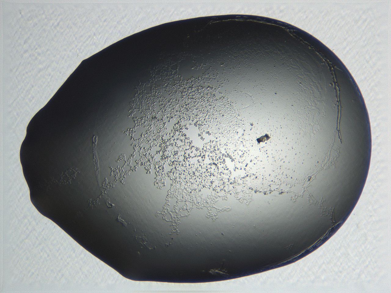 04nq_B11_ImagerDefaults_3.jpg