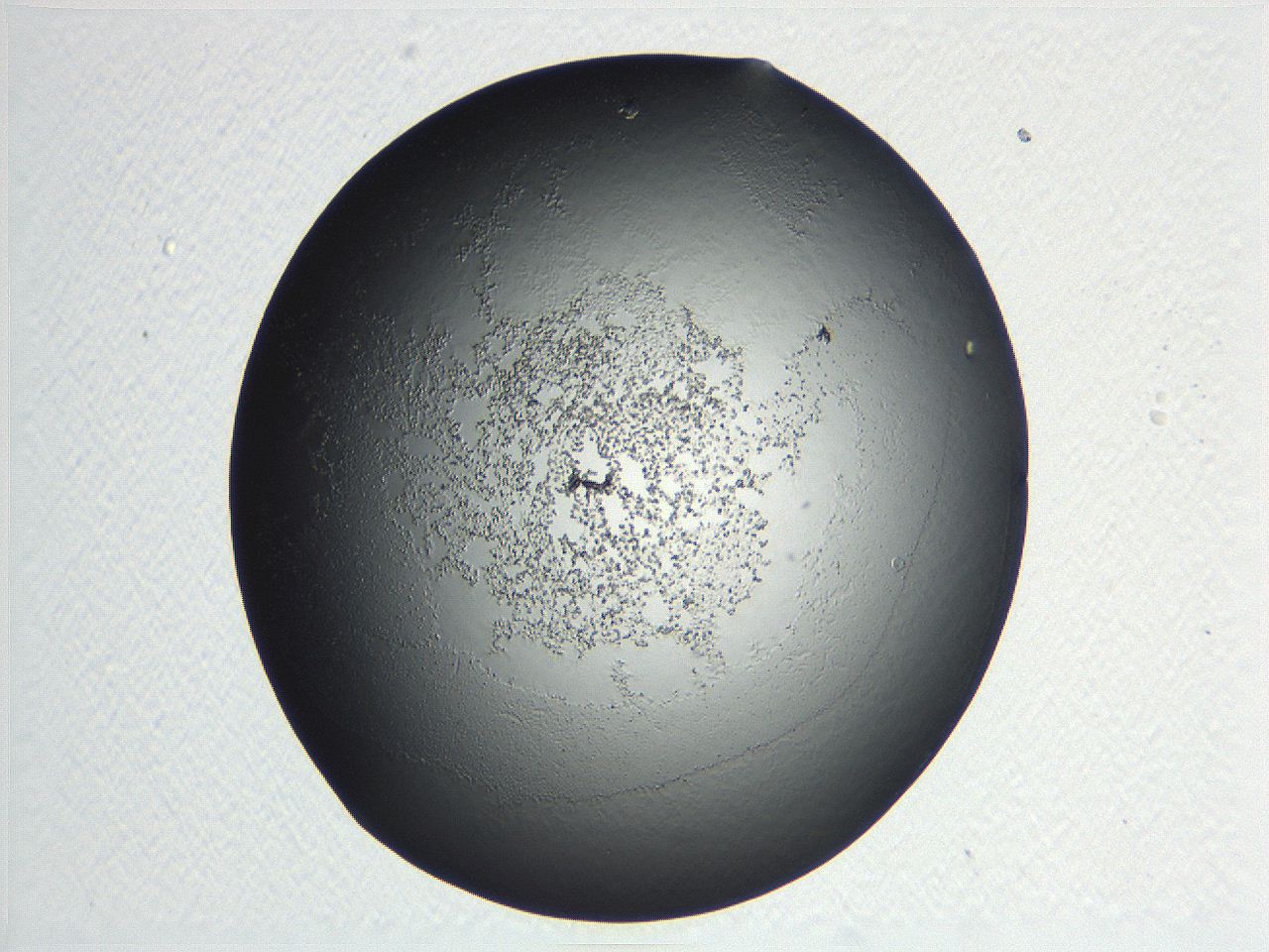 04nq_C1_ImagerDefaults_3.jpg