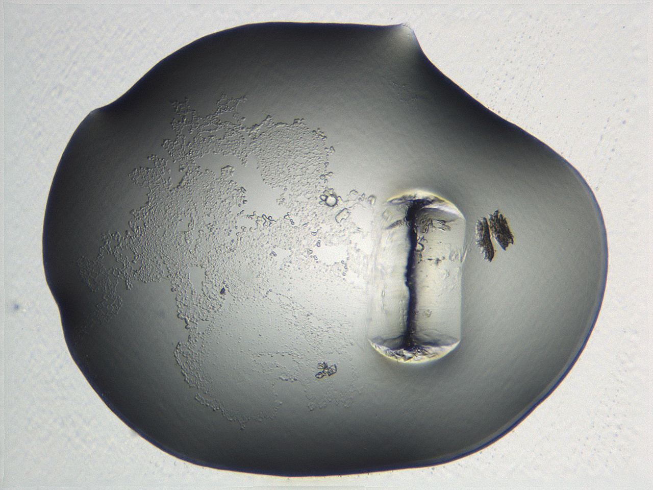 04nq_C3_ImagerDefaults_3.jpg