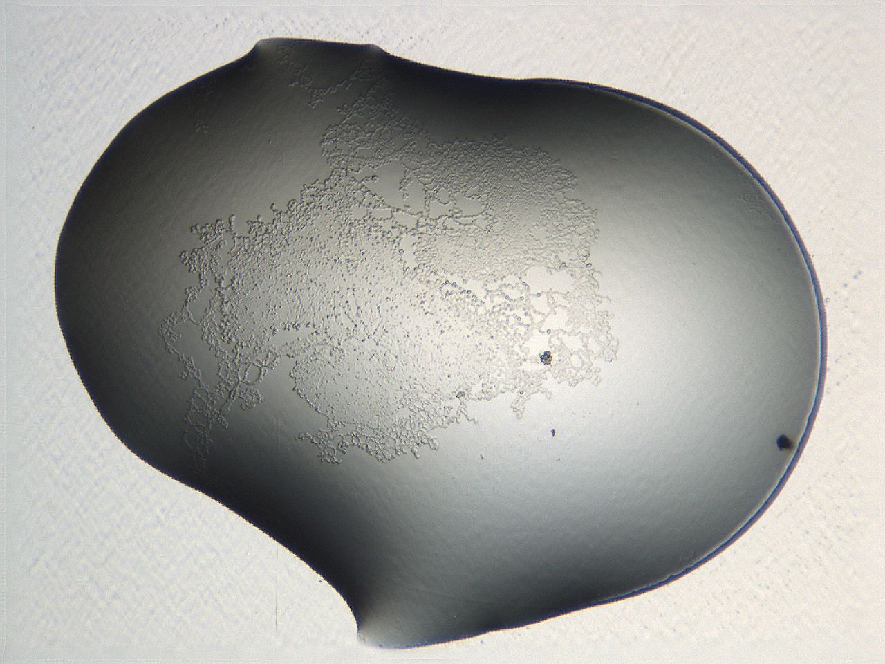 04nq_C6_ImagerDefaults_3.jpg