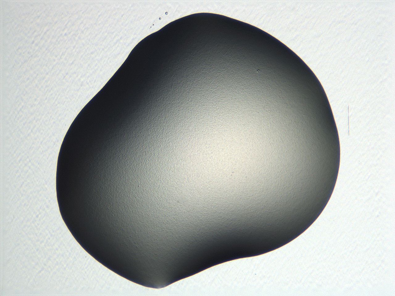 04nr_E4_ImagerDefaults_0.jpg