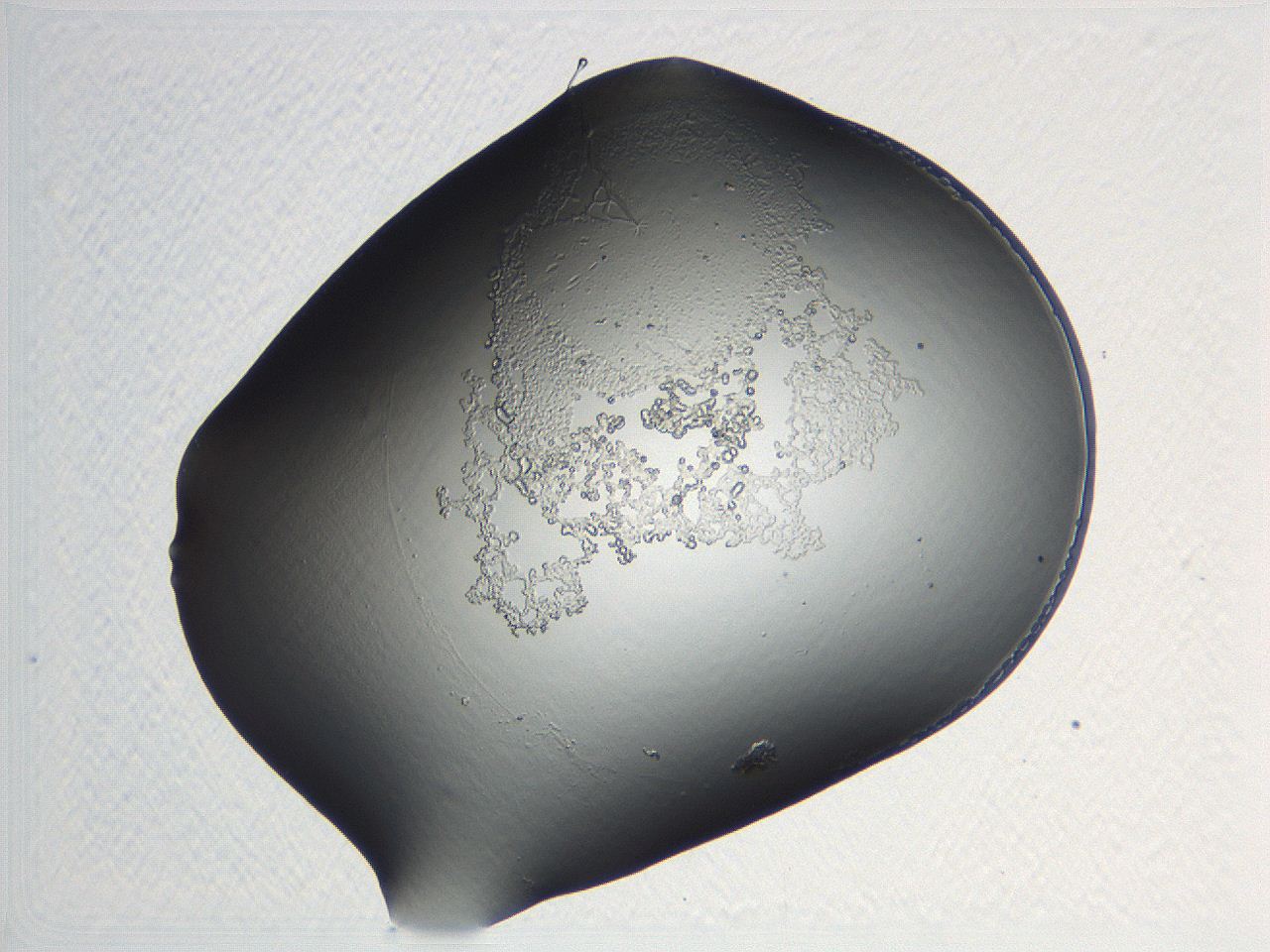 04nr_B12_ImagerDefaults_0.jpg