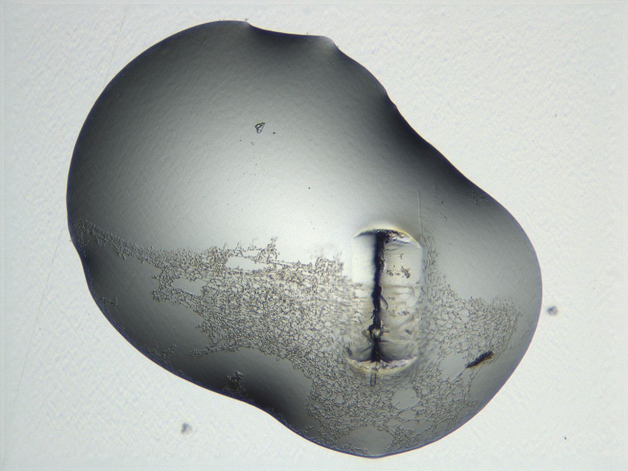 04nr_C1_ImagerDefaults_3.jpg