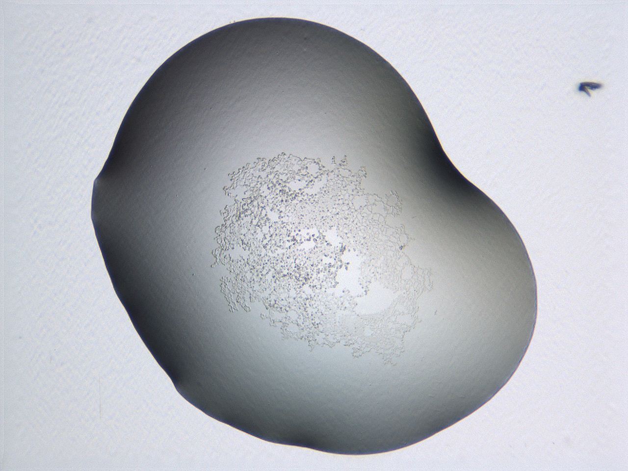 04nr_C2_ImagerDefaults_3.jpg