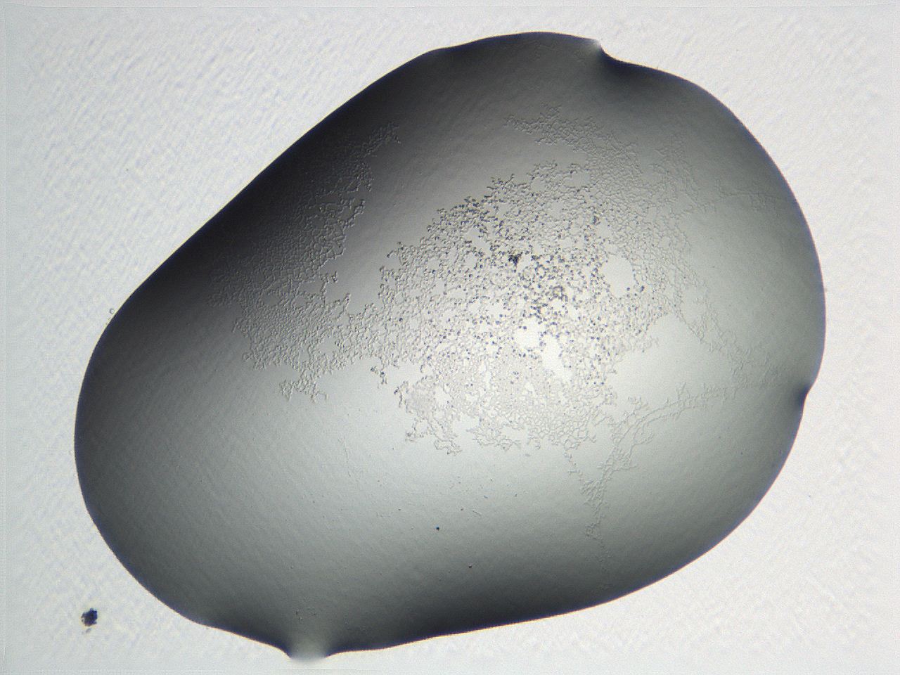 04nr_C4_ImagerDefaults_0.jpg