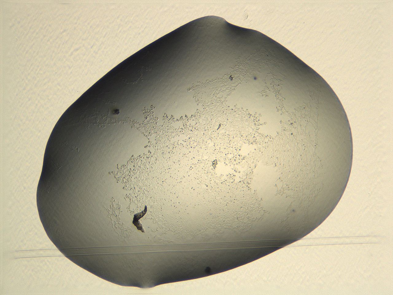 04nr_D4_ImagerDefaults_0.jpg