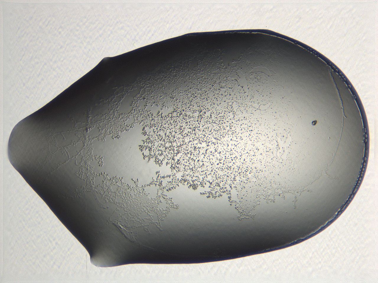04nr_A8_ImagerDefaults_3.jpg