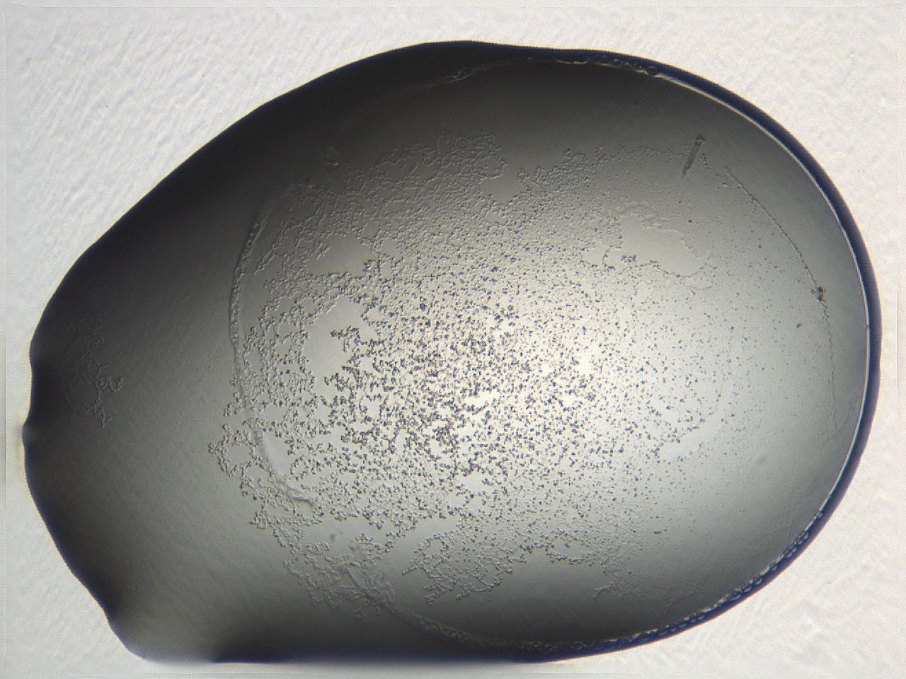 04nr_A10_ImagerDefaults_3.jpg