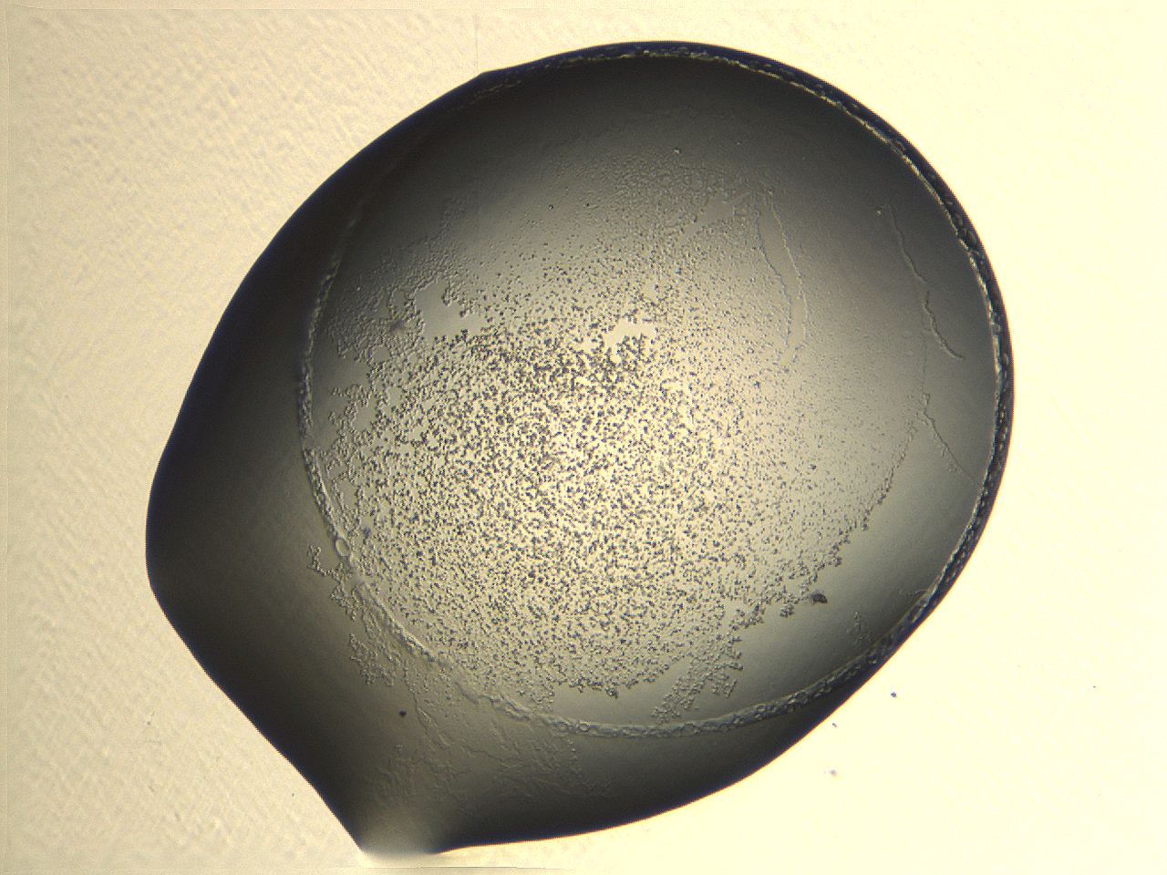 04nr_A11_ImagerDefaults_3.jpg