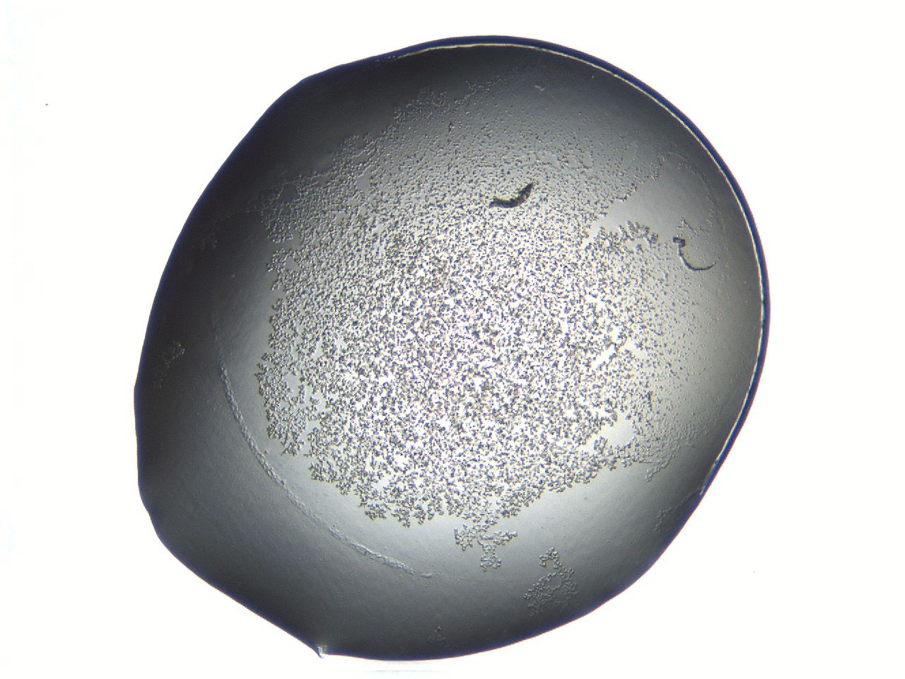 04nr_A12_ImagerDefaults_3.jpg