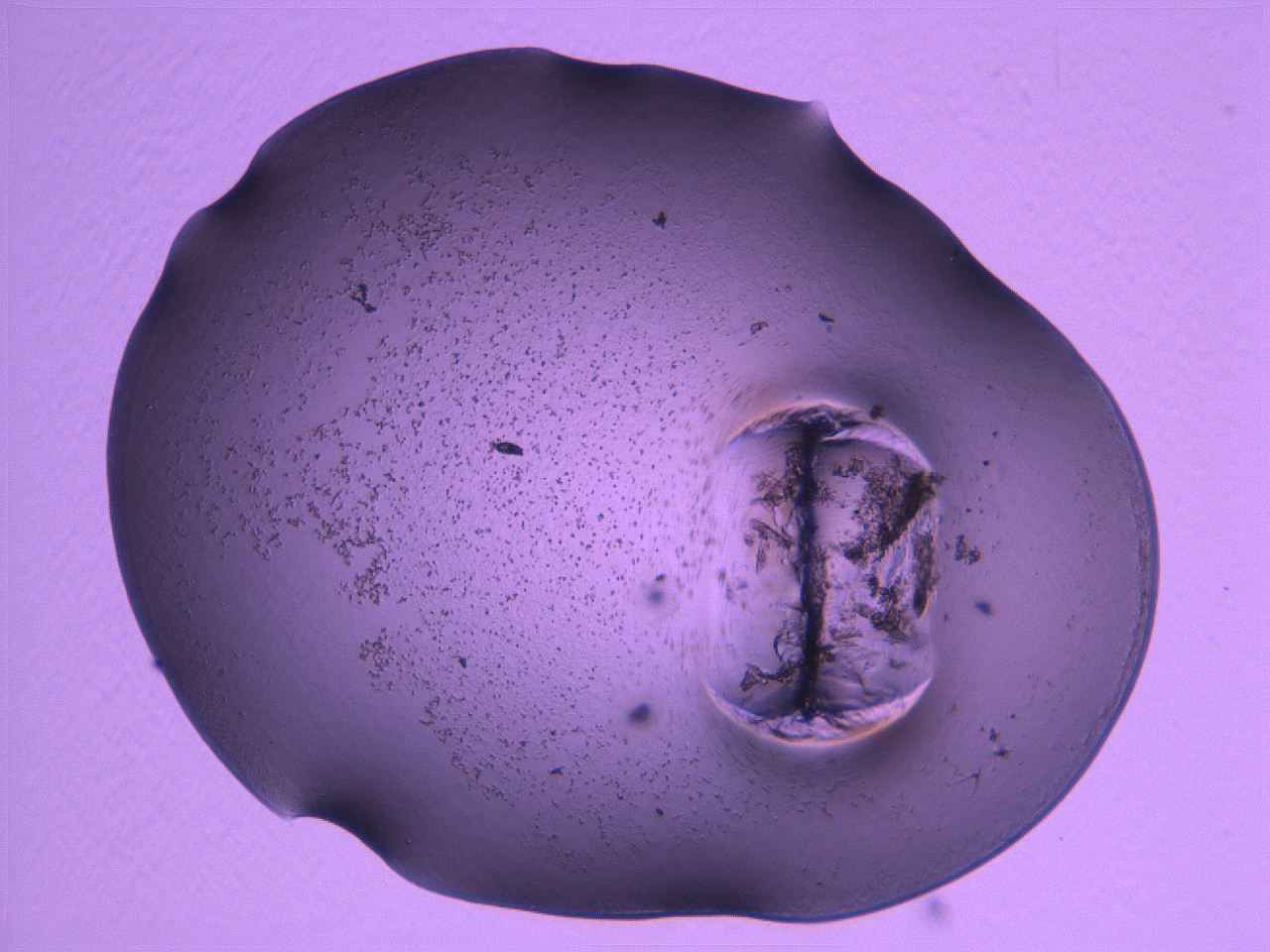 04nr_B1_ImagerDefaults_3.jpg