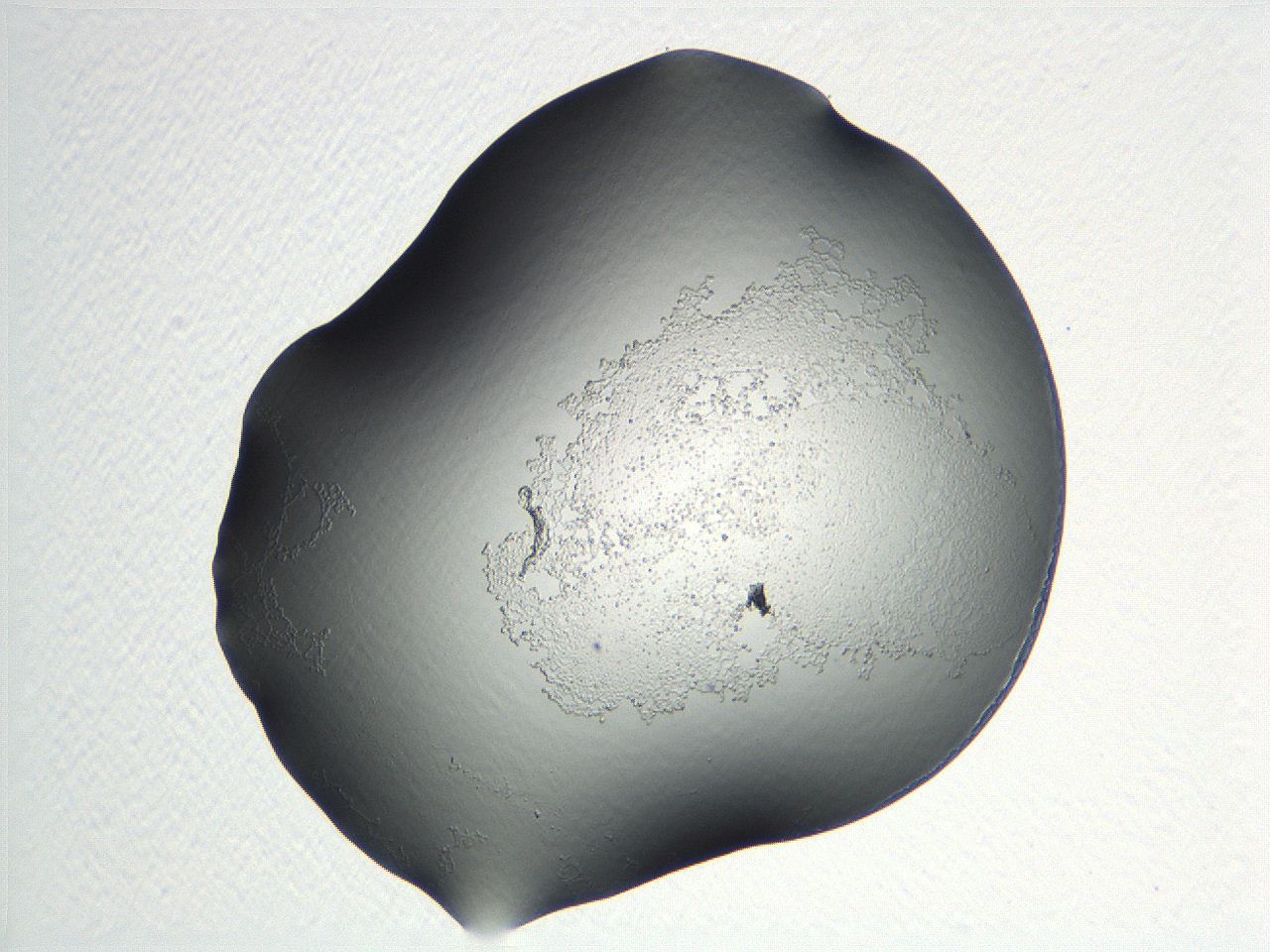 04nr_C5_ImagerDefaults_3.jpg