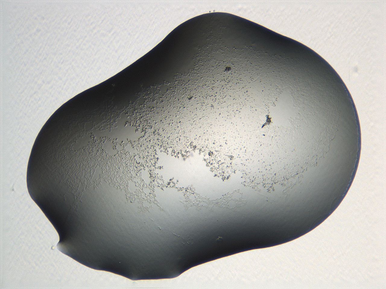 04nr_C6_ImagerDefaults_0.jpg
