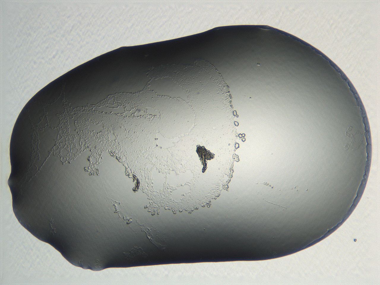 04nr_C7_ImagerDefaults_0.jpg