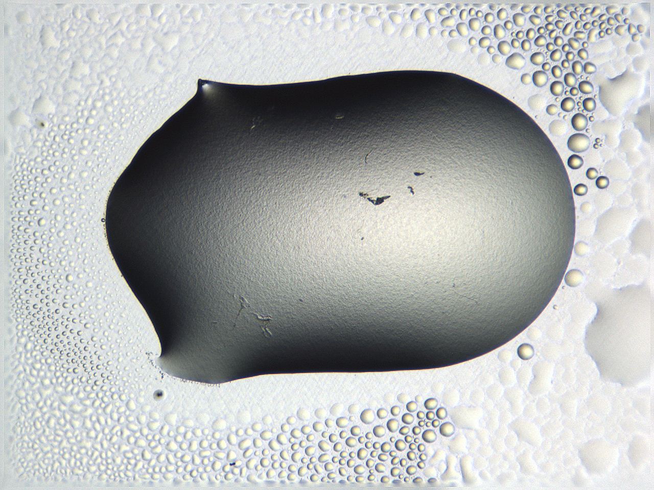04nr_C8_ImagerDefaults_0.jpg