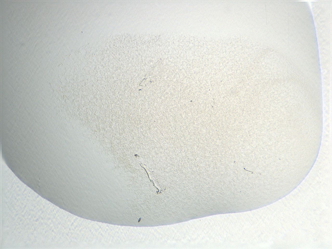 04nr_C9_ImagerDefaults_0.jpg