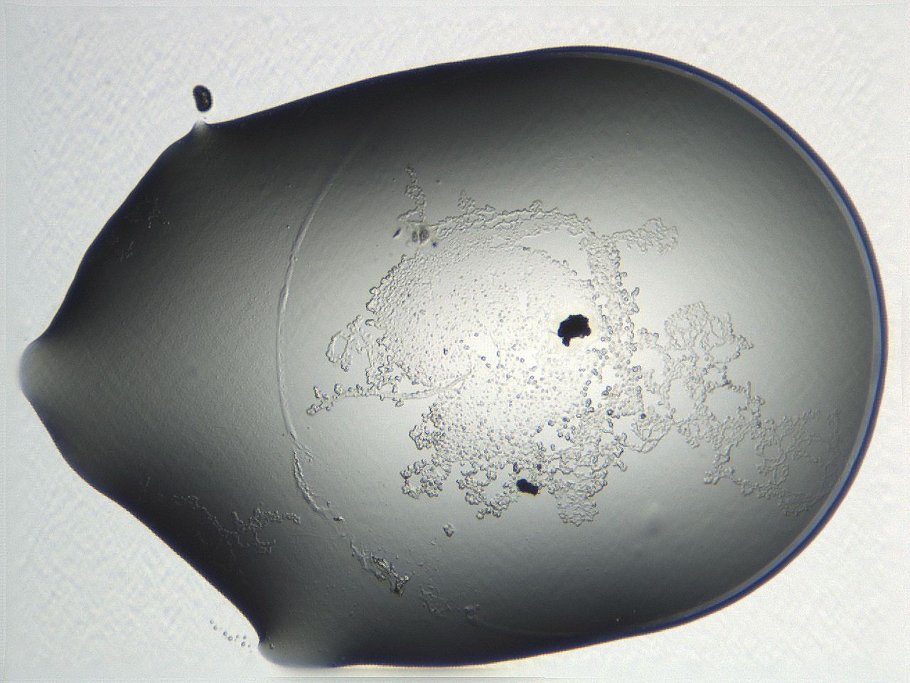04nr_C10_ImagerDefaults_3.jpg