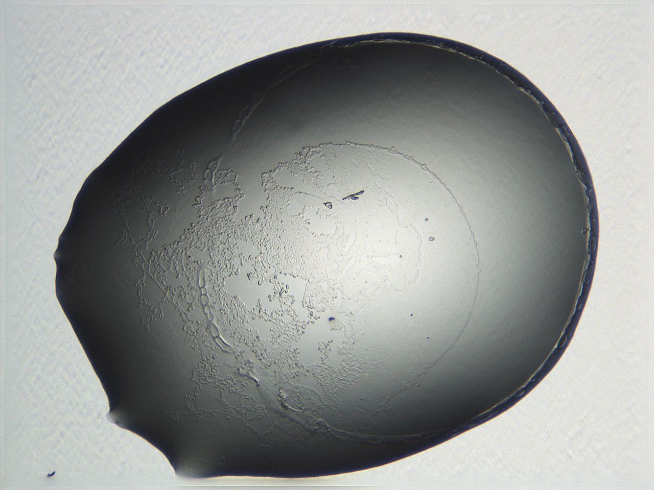 04nr_C11_ImagerDefaults_0.jpg