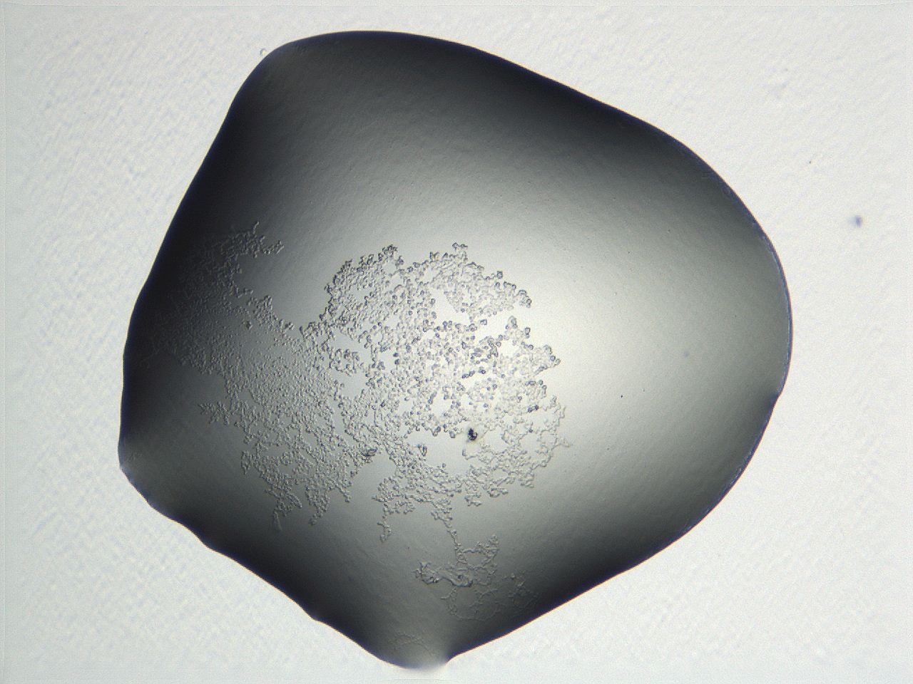 04nr_C12_ImagerDefaults_3.jpg